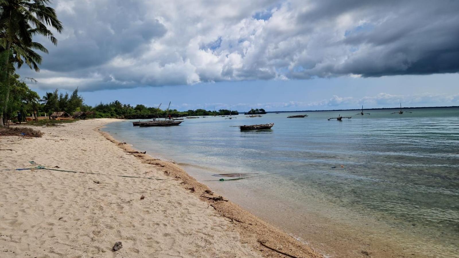 Moyo Mzuri Villas Resort Zanzibar Fukuchani المظهر الخارجي الصورة